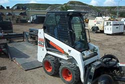 463 Bobcat